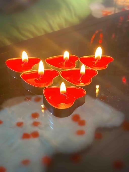 Vip Lounge Appartement Avec Jacuzzi Et Jardin Andenne エクステリア 写真