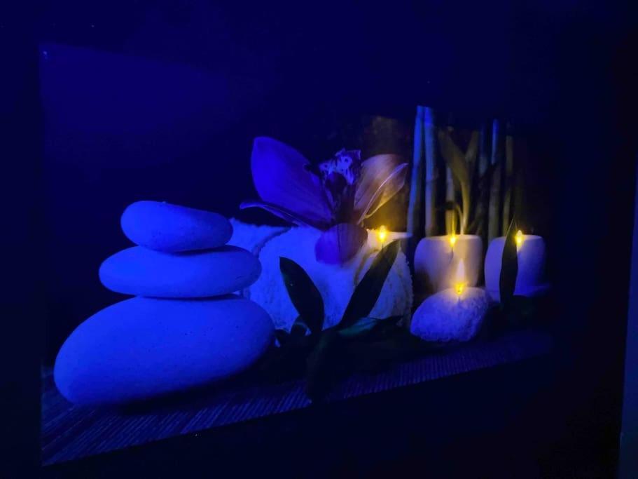 Vip Lounge Appartement Avec Jacuzzi Et Jardin Andenne エクステリア 写真